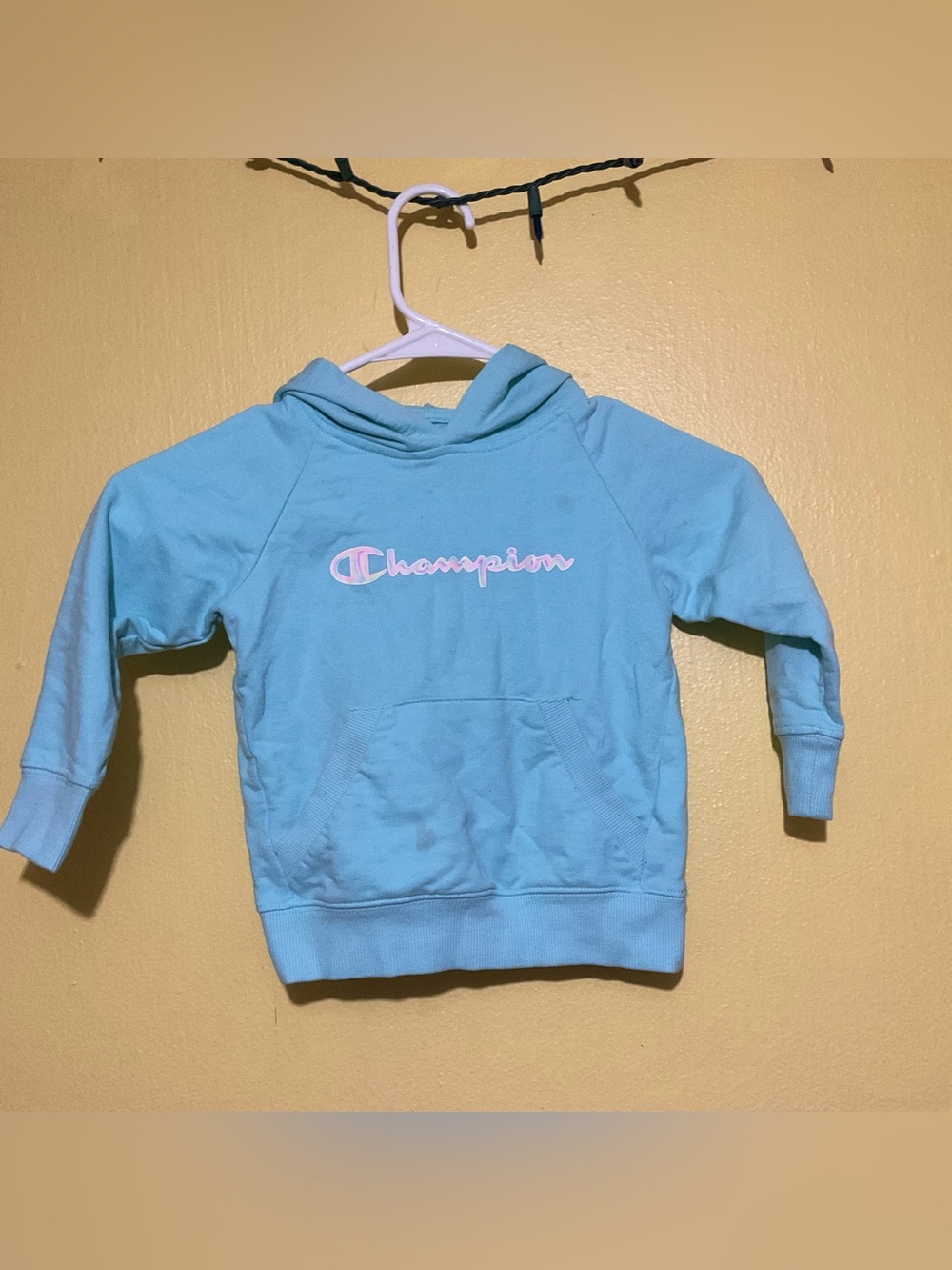 Champion Toddler Girls' Light Blue Hooded Sweatshirt